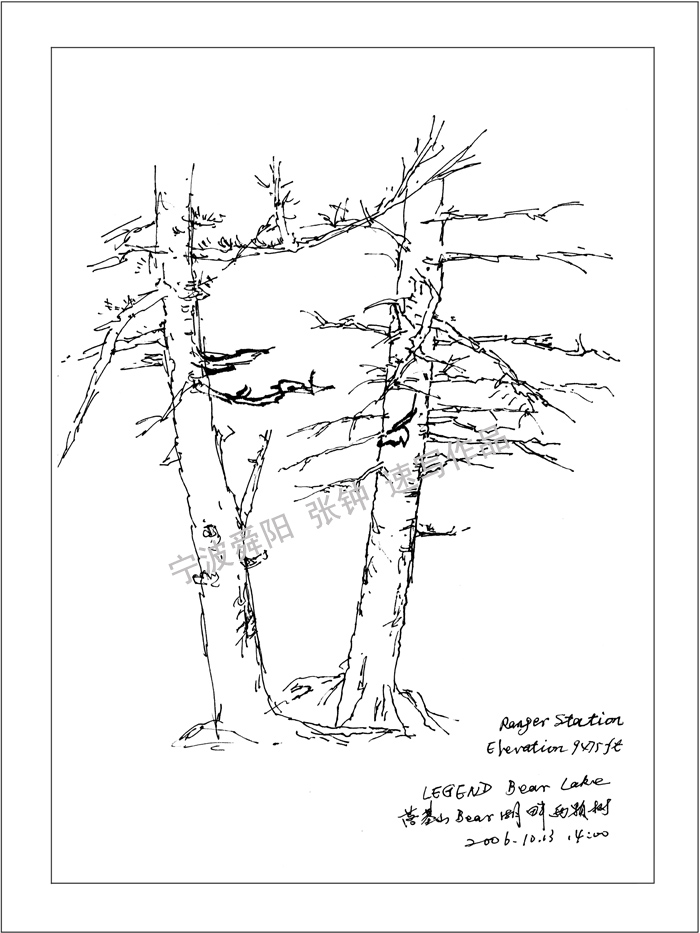 落基山Bear湖畔兩棵樹(shù)
